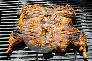 Chicken under a brick with panzanella salad photo