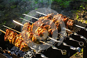 Chicken and veal kebabs barbecues