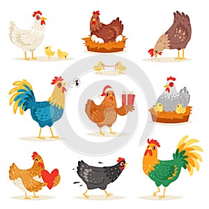 Chicken vector cartoon chick character hen and rooster in love with baby chickens or hen sitting on eggs in hen-coop