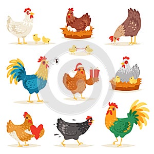 Chicken vector cartoon chick character hen and rooster in love with baby chickens or hen sitting on eggs in hen-coop photo