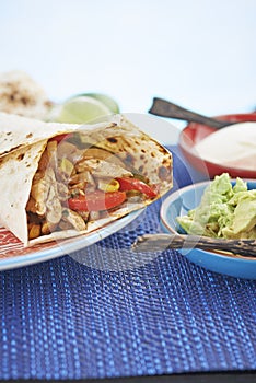 Chicken and Vegetable wrap burrito fajita