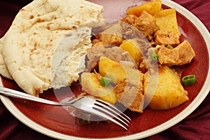 Chicken vindaloo curry photo