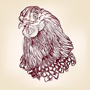 Chicken vintage hand drawn vector