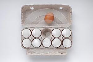 Chicken white eggs in a tray, one brown egg lies on the lid of the tray