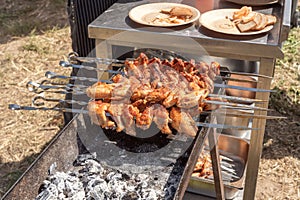 Chicken wings on skewers baked over coals in a metal grill outdoors.
