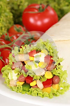 Chicken Wrap Sandwich