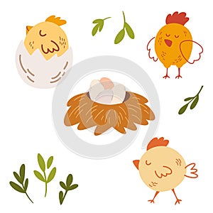 Chickens and eggs set. Chicken hatches from the egg. Nest and tray of chickens eggs. Hen farm. Animal character. Happy Easter.
