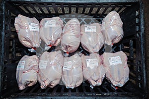 Chickens Poultry Abattoir