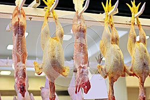 Chickens on processing line