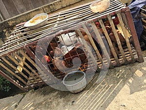 Chickens reared in wooden cage
