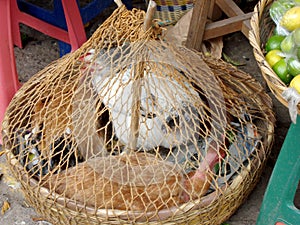 Chickens for sale in street market