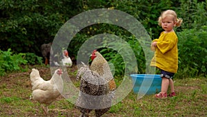 Chickens walk in a clearing next to a little girl