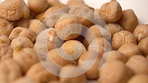 Chickpea beans close-up. Cicer arietinum.