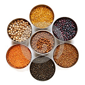 Chickpea Channa, Red Lentil Masoor dal, Split Chickpea Split Channa, Black gram, Black lentil Urad, Garbanzo Beans Kabuli