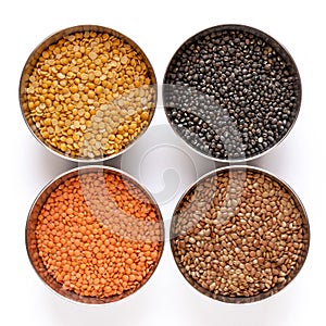 Chickpea Channa, Red Lentil Masoor dal, Split Chickpea Split Channa, Black gram, Black lentil Urad in steel bowel isolated