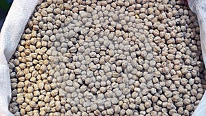 heap of raw fresh chickpeas in in bulk Bags.