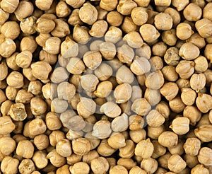 Chickpea, cicer arietinum