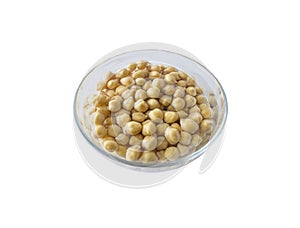 Chickpea soaked in water in a bowl on a white background. Chickpea isolated on white background. Chickpeas soaked in water.