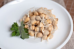Chickpea sprouts