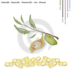 Chickpea with Vitamin B9, B6 B1 and Iron