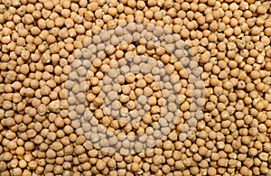 chickpeas beans background