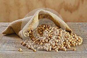 Chickpeas in Burlap Sack