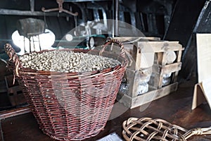 Chickpeas and Cheeses in a Dusty Pantry in an old ship