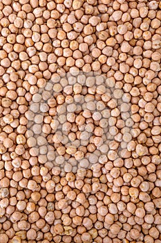 Chickpeas close up