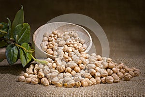 Chickpeas: composition of chickpeas with wooden container photo
