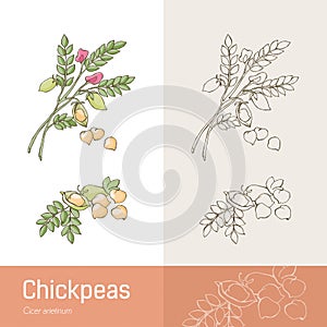 Chickpeas