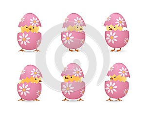 Chicks in broken flower easter eggs set