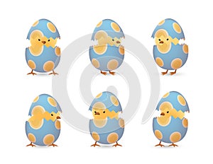 Chicks in broken oval easter eggs set