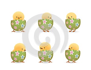 Chicks in broken star easter eggs bottom set