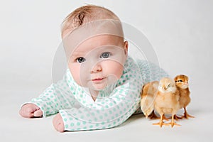 Chicks and a cute little newborn baby.