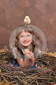 Chicks in nest of twigs