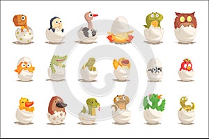 Chicks and reptiles hatch from eggs set, unborn animals vector Illustrations