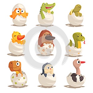 Chicks and reptiles hatch from eggs set, unborn animals vector Illustrations