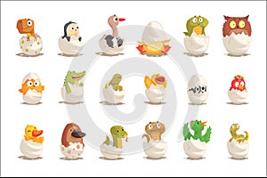 Chicks and reptiles hatch from eggs set, unborn animals vector Illustrations photo