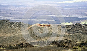 Chico Volcano on Isabela Island of the Galapagos Archipelago - Ecuador