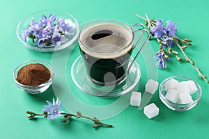 Chicory beverage in glass cup, with concentrate and flowers on green background. Healthy herbal beverage, coffee substitute,