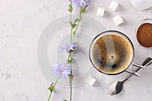 Chicory beverage in glass cup, with concentrate and flowers on grey background. Healthy herbal beverage, coffee substitute, Close