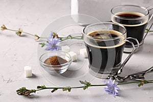 Chicory beverage in two glass cups, with concentrate and flowers on grey background. Healthy herbal beverage, coffee substitute,