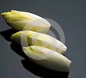 Chicory, cichorium endivia against Black Background