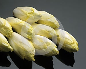 Chicory, cichorium endivia, Vegetables against Black Background