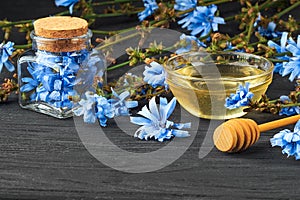 Chicory Cichorium intybus herb in bottle