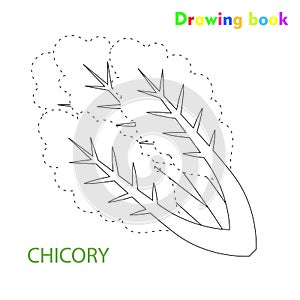 Chicory coloring and drawing book vegetable design illustration