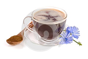 Chicory cup and chicory flower isolated on white background