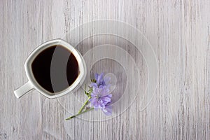 Chicory drink or coffee in white cup with chicory flower on a white wooden background. Flat lay.