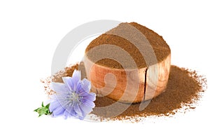 Chicory flower and powder of instant chicory isolated on a white background. Cichorium intybus. photo