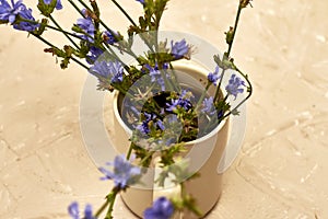 Chicory powder and chicory flowers in a coffee mug